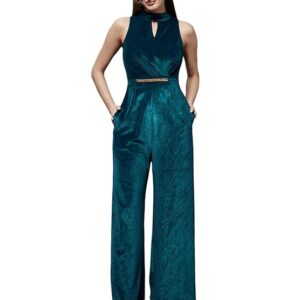 Women's Choker Neck Sleeveless Solid Pleated Regular Jumpsuit