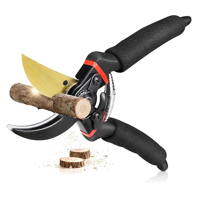 JD FRESH 8 Inch Heavy Duty Gardening Scissor/Plant Cutter for Garden/Pruners for Plants/Branch Cutter for Plants/Flower Cutter/Secateurs/Pruning Shears (Titanium Blade, Black)